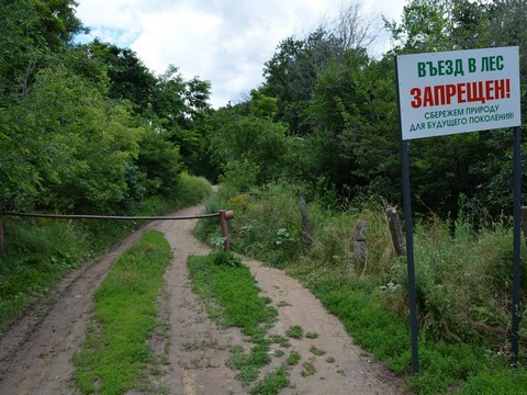 После публикации ИА «Свободные новости» в Энгельсе закрыли въезды в лес