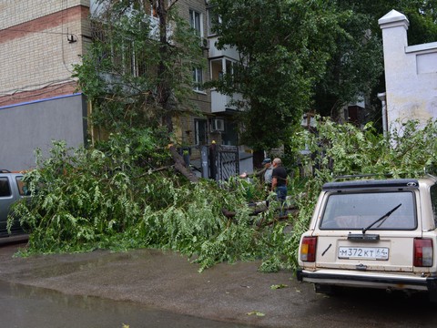 Гроза в Саратове. Деревья блокировали двор и повисли на проводах