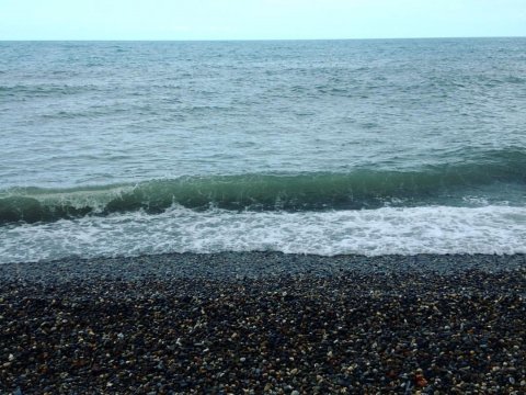 Депутаты ГД одобрили введение курортного сбора в России