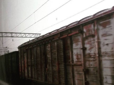 Женщина погибла под грузовым поездом в Саратове