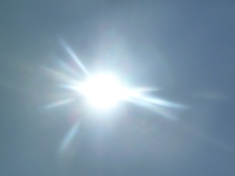 МЧС предупредило саратовцев о 39-градусной жаре