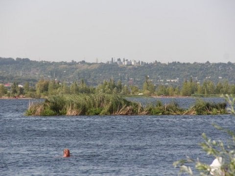 «Остров» из камышей задержал старт массового заплыва через Волгу