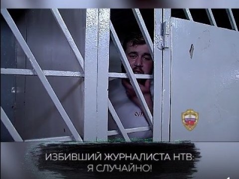 Возбуждено уголовное дело об избиении журналиста НТВ в парке Горького