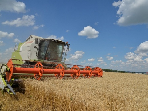 В Саратовской области не хватает мощностей для хранения зерна