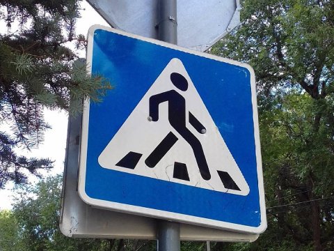 Прокуратура не нашла в Балашове более 2,5 тысяч дорожных знаков