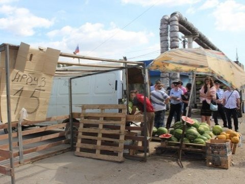 Саратовские чиновники хотят сделать убыточной нелегальную торговлю арбузами и дынями