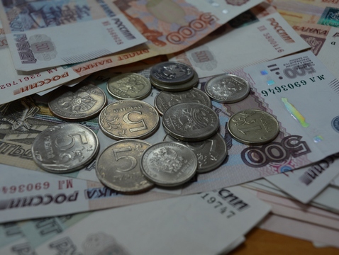 Четверть россиян назвали низкие зарплаты главной проблемой страны