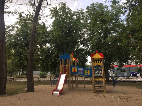 Загородняя направила запрос в администрацию Саратова из-за падения ветки дерева на детей