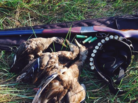 В Саратовской области у охотников-нарушителей отобрали три ружья