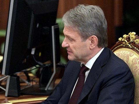 РБК: Глава минсельхоза допускает возврат турецких помидоров на российский рынок