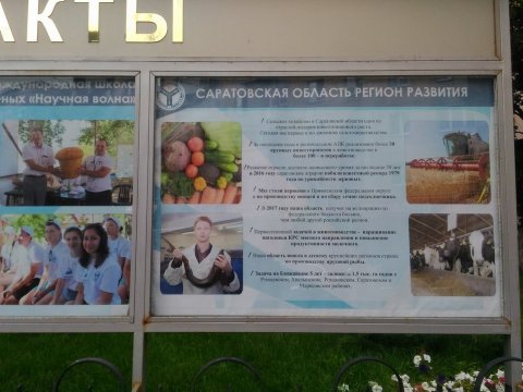 Плакат с предвыборным слоганом Радаева заменили фотографиями огурцов и коров