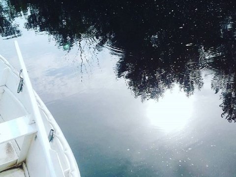 В «Черных водах» под Марксом нашли лодку с мертвым рыбаком
