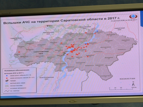 АЧС нанесла Саратовской области ущерб в 40 миллионов