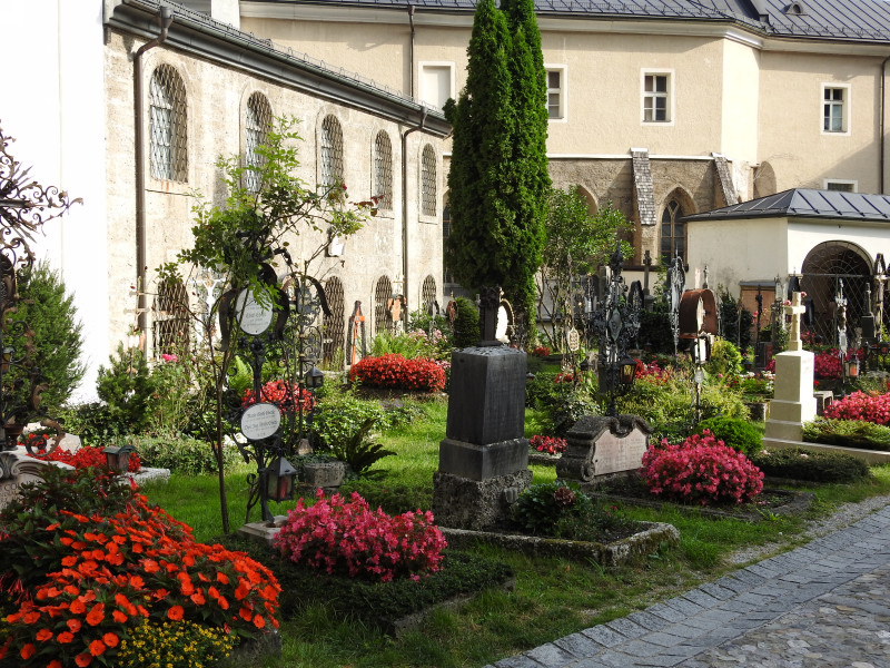 В Ершове найдено не соответствующее СанПиНу кладбище