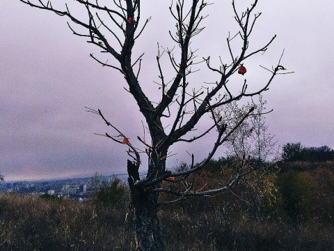В Саратовской области сохранится пасмурная осенняя погода