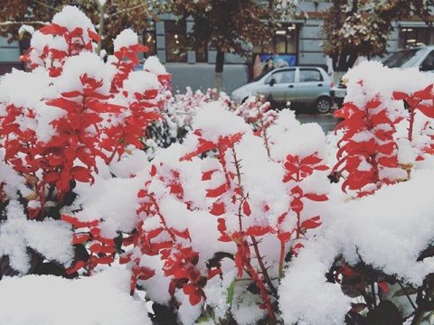 Эвакуации и снегопад провоцируют транспортный коллапс в Саратове