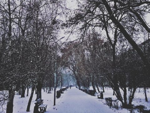 Саратовцев ждет небольшой снег