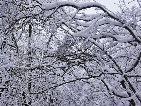 В Саратове ожидается облачность и небольшой снег