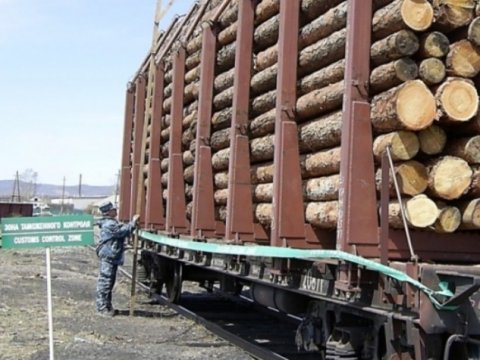 Саратовские таможенники возбудили уголовное дело о контрабанде древесины