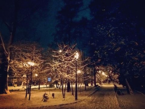 Синоптики: Новогодняя ночь в Саратове будет морозной
