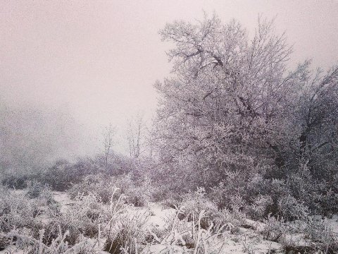 На Рождество в Саратовской области обещают туман и гололедицу