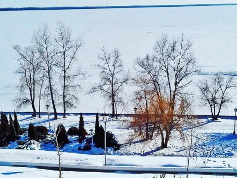 Пятница будет для саратовцев морозной и солнечной
