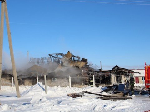 Пожар уничтожил кафе «Екатерина» под Балаковом