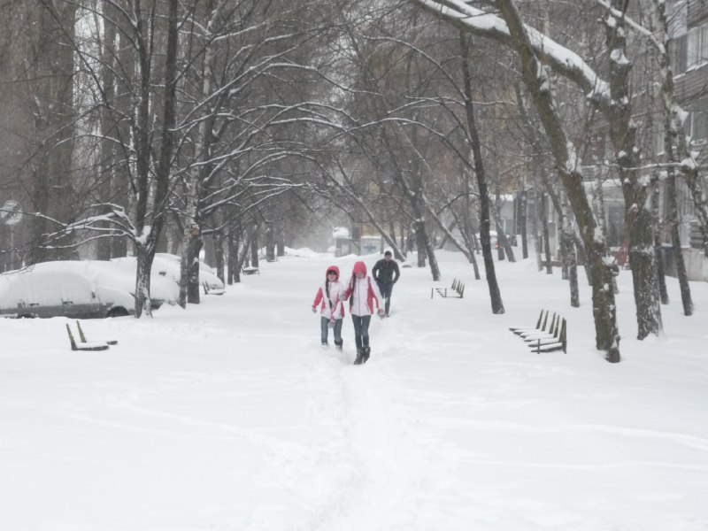 Из-за снегопада мэрия разрешила саратовцам не отправлять детей в школу