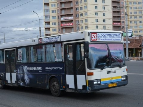 Загородняя помогла наказать напавшего на ребенка водителя автобуса
