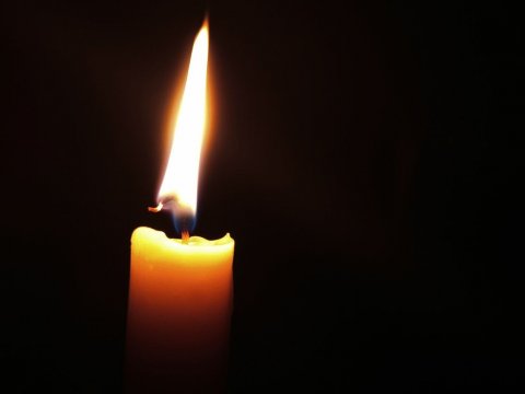 Жителей Саратовской области приглашают поучаствовать в ежегодной акции Час Земли