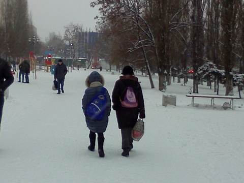 Из-за мороза в Саратове отменены занятия для младших школьников
