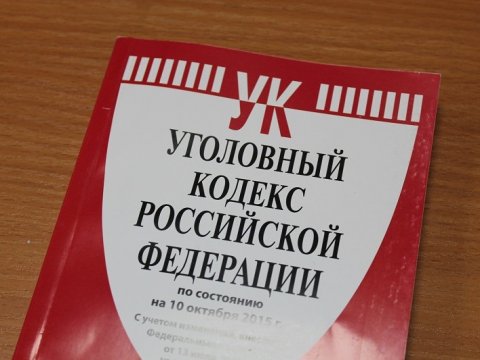 Жительницу Саратова подозревают в удушении сына