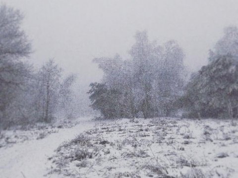 В Саратовской области ожидается метель и туман на дорогах