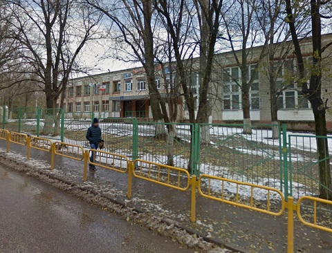 Ученики саратовской школы пожаловались на привлечение их к предвыборной агитации