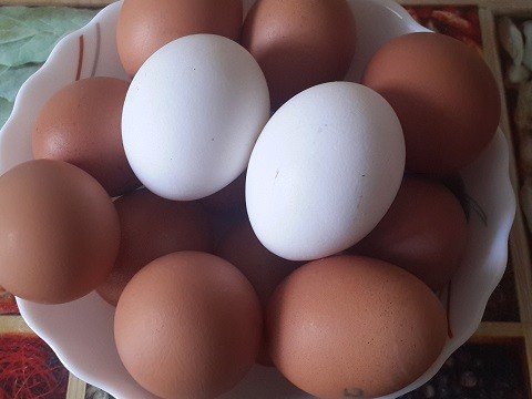 С границы Саратовской области вернули в Казахстан 30 тысяч куриных яиц