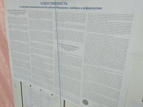 Члены саратовской УИК №340 реестр заявлений о надомном голосовании вели в «электронном варианте»