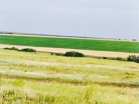 Петровский фермер через суд добился получения земли в аренду