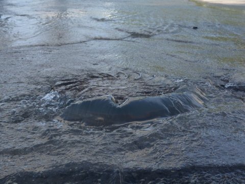 Противопаводковая комиссия Саратова обсудила потопы на дорогах в Иволгино
