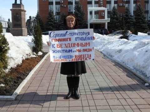 Зоозащитница призвала саратовцев забирать собак с улиц