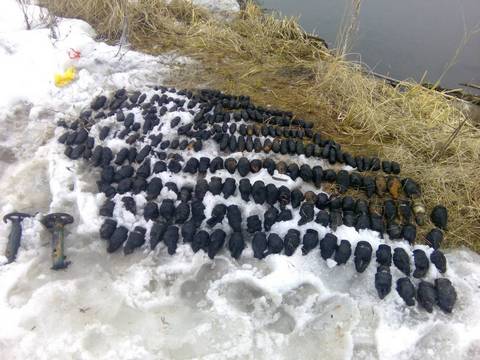 В лесу под Саратовом обнаружили опасные боеприпасы