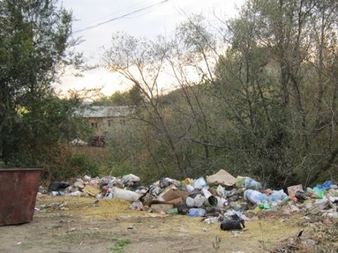 Губернатору рассказали об утопающем в мусоре Калининске