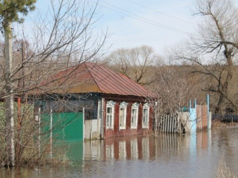 Балашовские чиновники не подтверждают информацию о сотнях подтопленных домов
