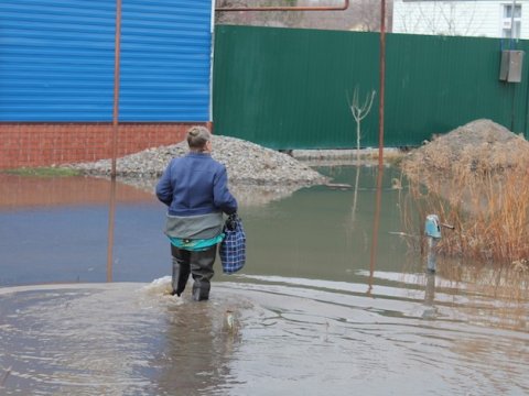 Жители подтопленного Балашова жалуются на ухудшение качества воды