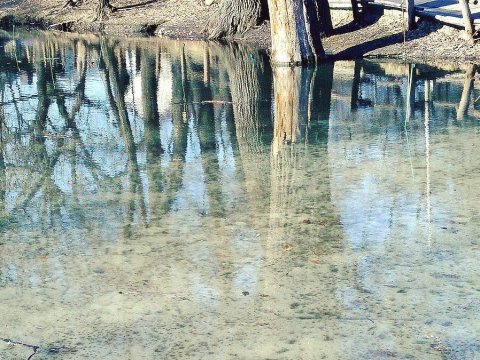 Воду с нитратами в Калининске могли взять из открытого источника