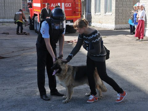 Полицейский пес помог найти пропавшего в Аткарске трехлетнего мальчика