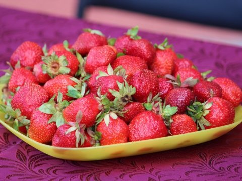 В Саратовской области испекут стокилограммовый клубничный пирог