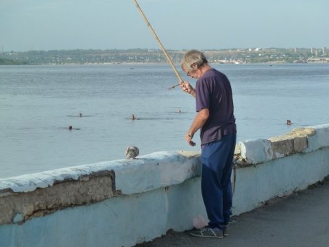 Саратовским рыбакам разрешили ловить не больше одного сома в день