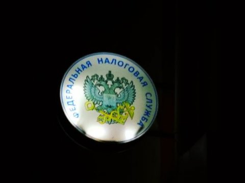 В Саратовской области начальница инспекции ФНС получила взятку новогодним подарком