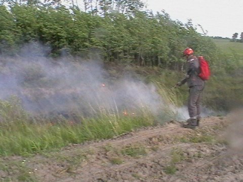 В Аткарском районе природный пожар выжег пять гектаров земли