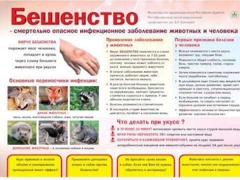 В области ликвидированы 16 очагов бешенства